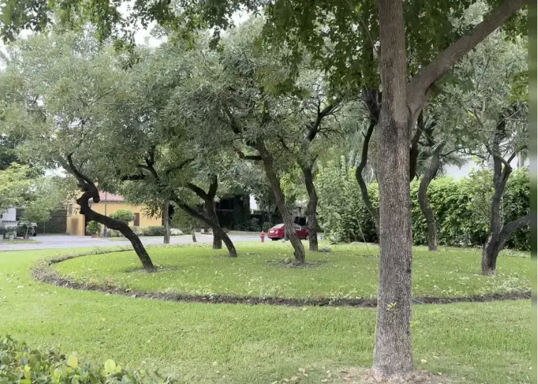 Jardines y árboles maduros de La Ribera de Batán